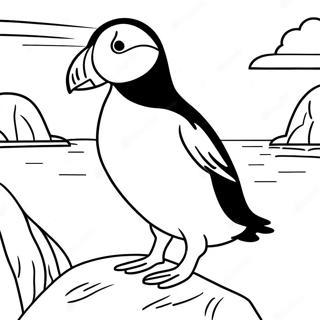 Puffin Rock Pagine Da Colorare