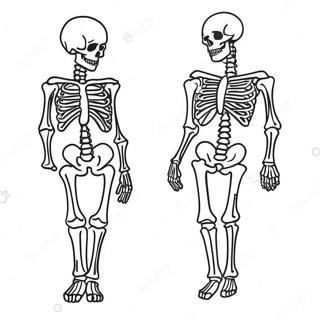 Pagina Da Colorare Dello Scheletro Umano Dettagliato 107436-44596