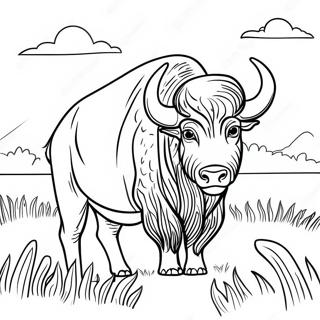 Pagina Da Colorare Bufalo Maestoso In Un Campo 107640-44754