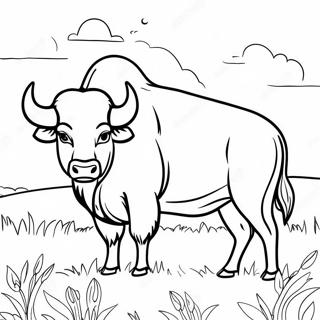 Pagina Da Colorare Bufalo Maestoso In Un Campo 107640-44755