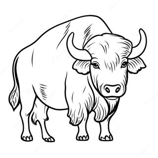 Pagina Da Colorare Silhouette Di Bufalo 107641-44758