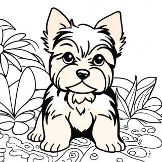 Yorkshire Terrier Pagine Da Colorare