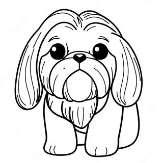 Shih Tzu Pagine Da Colorare