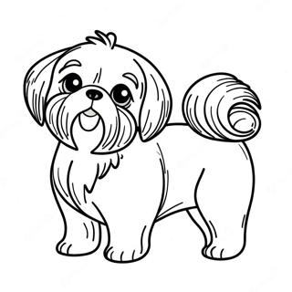 Pagina Da Colorare Di Shih Tzu 112700-48780