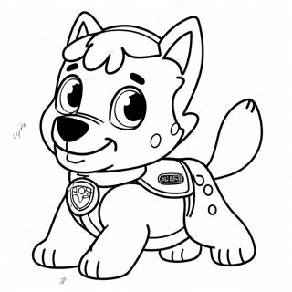 Pagina Da Colorare Di Rocky Della Paw Patrol 116387-51758