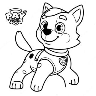 Pagina Da Colorare Di Rocky Della Paw Patrol 116387-51921