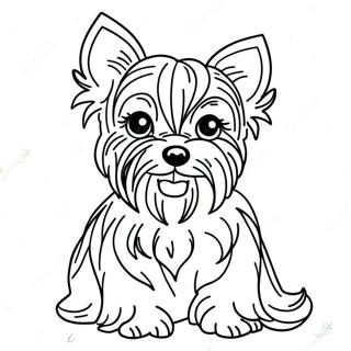 Yorkie Realistico Pagine Da Colorare