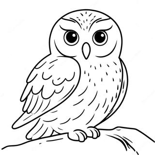 Pagina Da Colorare Gufo Innevato Incantevole 123432 57747