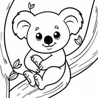 Koala Pagine Da Colorare