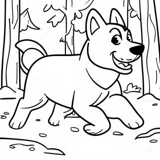 Husky Che Corre Nel Bosco Disegno Da Colorare 38279-8370