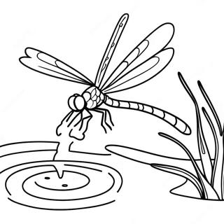 Pagina Da Colorare Della Libellula Maestosa Che Vola Sopra Lacqua 39732-8680