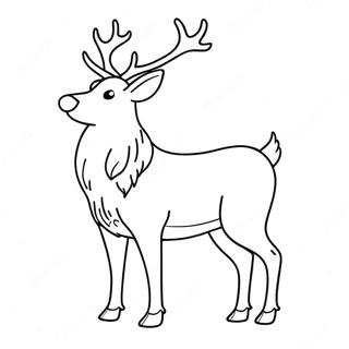 Pagina Da Colorare Renna Realistica Maestosa 65544 14336