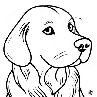 Pagina Da Colorare Del Golden Retriever 67431-14747