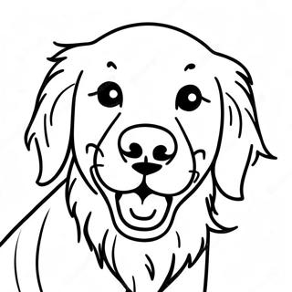 Pagina Da Colorare Del Golden Retriever Giocoso 67432-14749