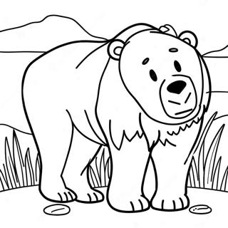 Orso Marrone Pagine Da Colorare