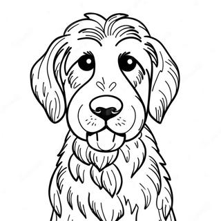 Goldendoodle Pagine Da Colorare