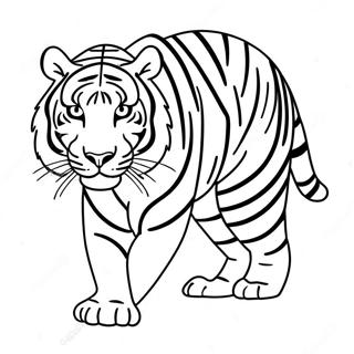 Tigre Pagine Da Colorare