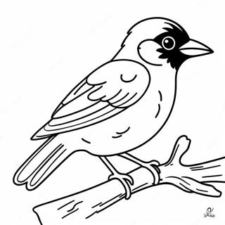 Pagina Da Colorare Orioles 99393-38015
