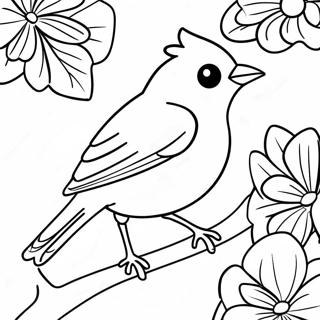 Pagina Da Colorare Orioles 99393-38016