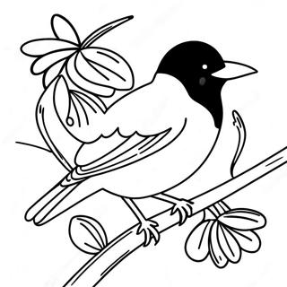 Pagina Da Colorare Orioles 99393-38205