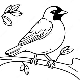Pagina Da Colorare Orioles 99393-38206